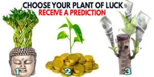 🌱The Oracle of the money plant will reveal something for you ..